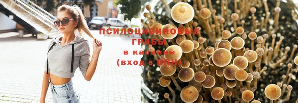 герыч Семилуки